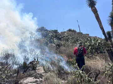 Mineral de la Reforma: sofocan incendio en la 11 de Julio; afectó 2 hectáreas