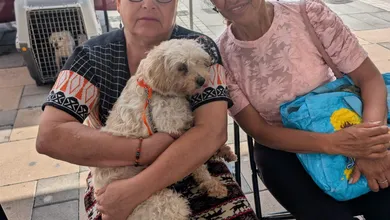Arrancó Festival de Bienestar Animal en Tizayuca con 120 esterilizaciones gratuitas