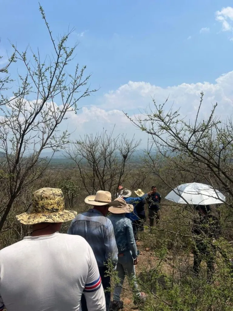 Avistamiento de puma en Tepetitlán activa protocolos