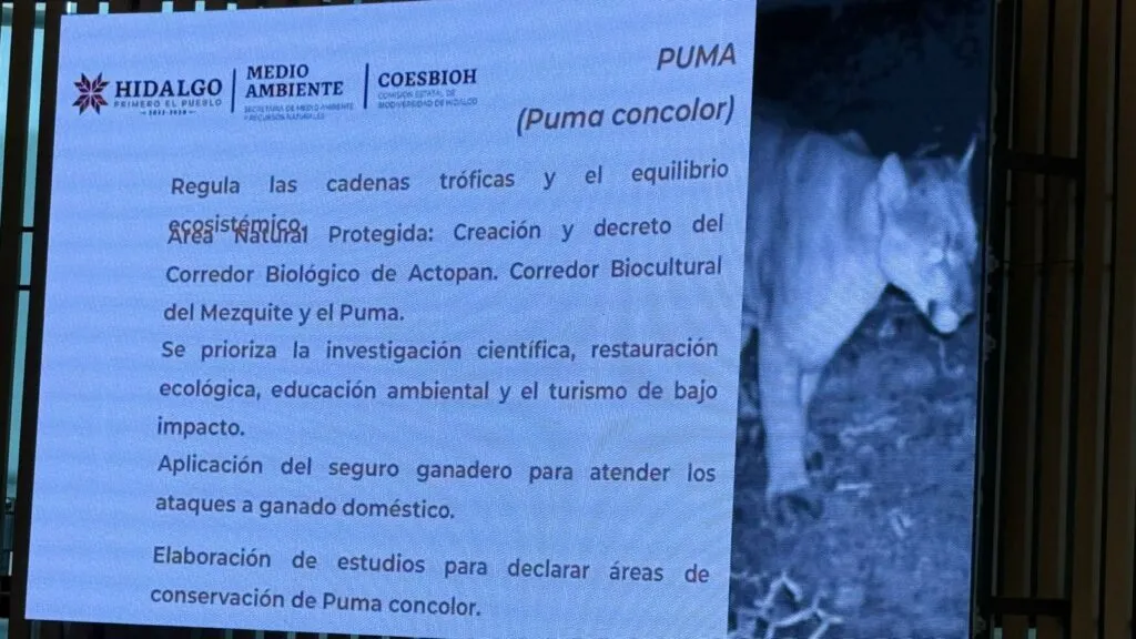 Hidalgo fortalece conservación ambiental con inversión de 17.3 mdp