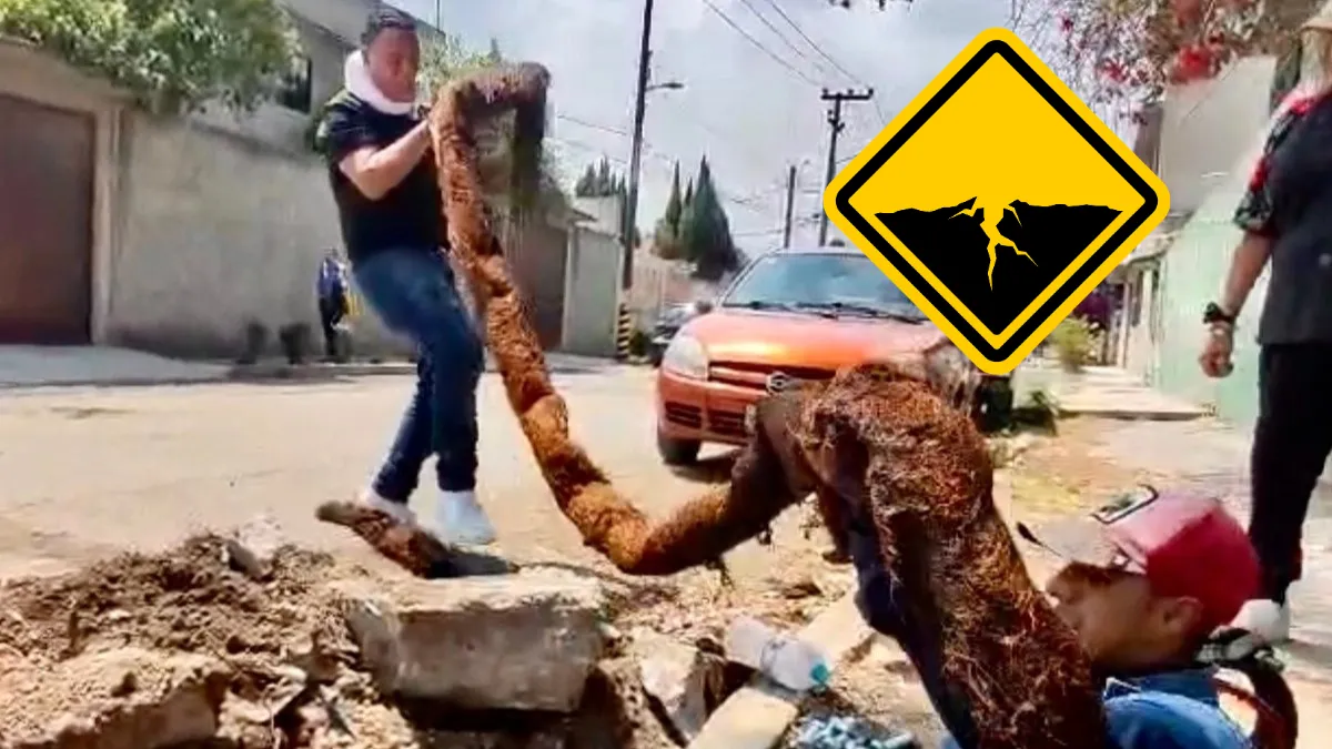 Trabajadores retiran raíz que bloqueaba red de agua potable en Ecatepec desde hace más de una década.