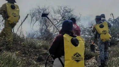 El fuego avanzó durante todo el día, pero fue contenido antes de llegar a zonas habitadas. Esto se sabe del incendio