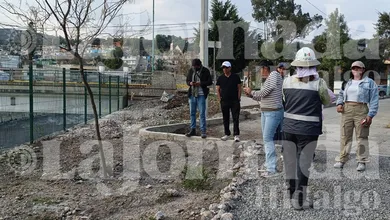 Trabajos de revegetación en la ribera del río Tula