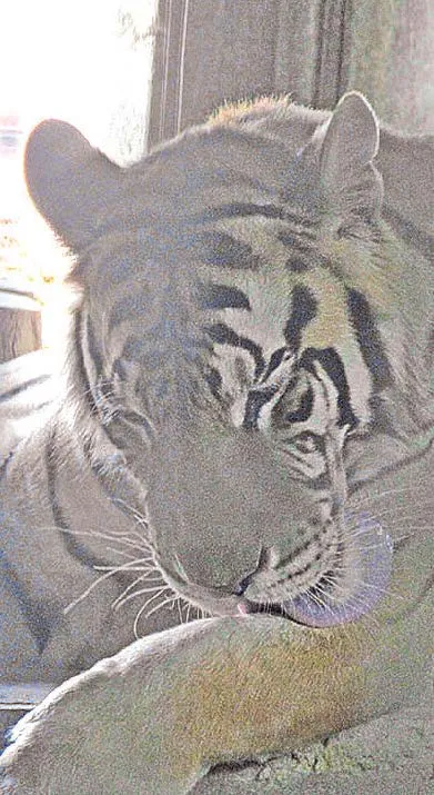 Unidad de Rehabilitación celebra una década