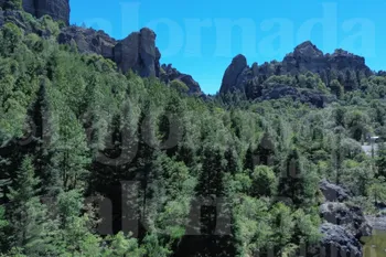 Jornada de reforestación con entrega de plantas en Hidalgo.
