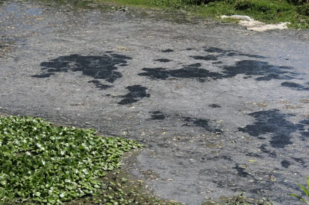 ¿Qué paso en los ríos en Cuautepec? De paraísos naturales a cloacas 