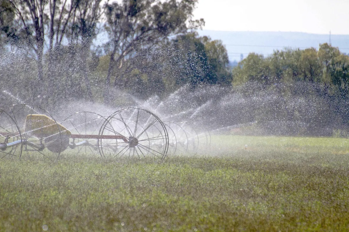 Hidalgo inicia 2026 como estado libre de sequía; no ocurría desde hace casi una década