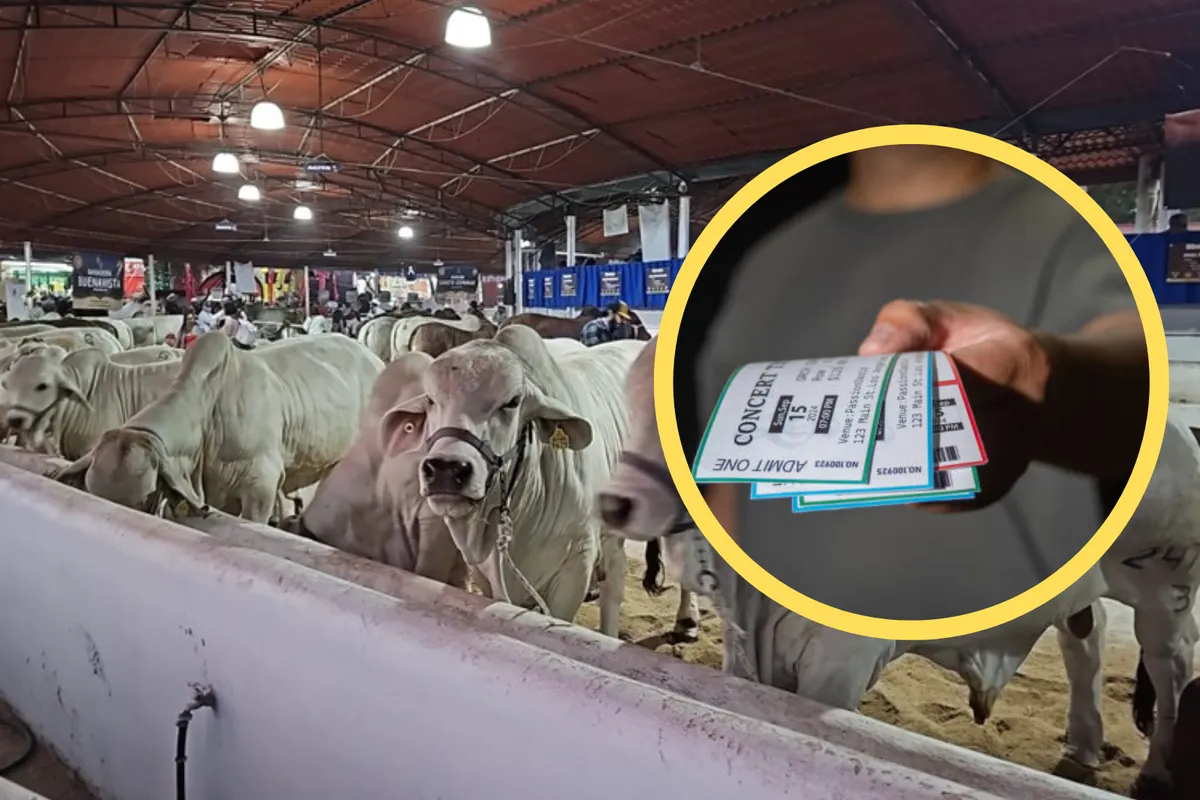 Cartelera confirmada y boletos en camino; así podrás ver a tus artistas en Pachuca