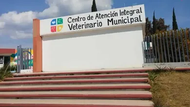 Centro Veterinario de Pachuca