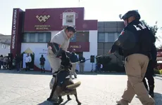 Unidad Canina K9 Mineral de la Reforma