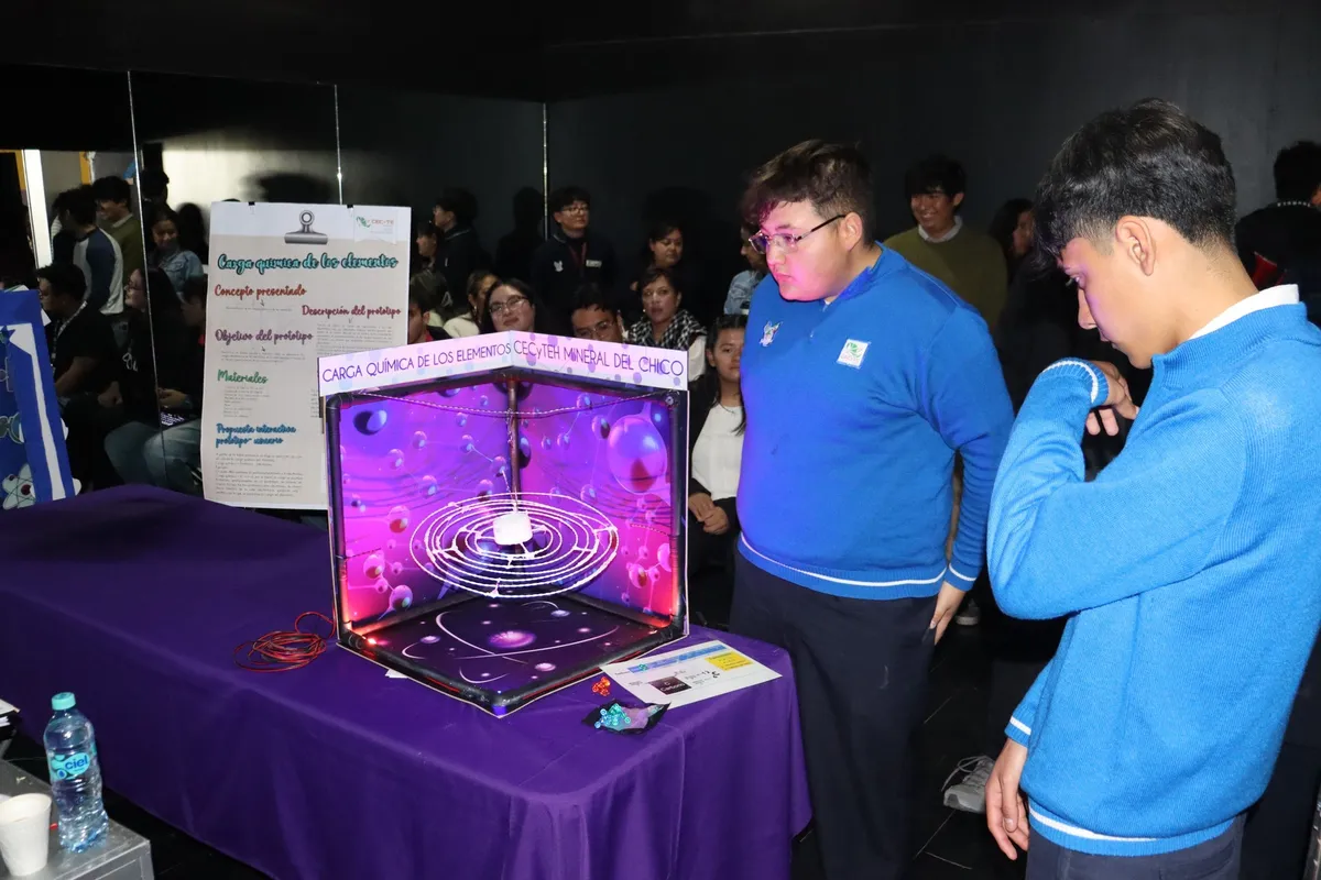 Museo del Rehilete Proyectos