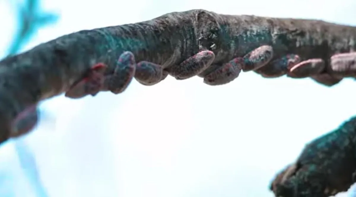 Tepeji del Río: 70 hectáreas de bosque son afectadas por plaga que se consideraba extinta