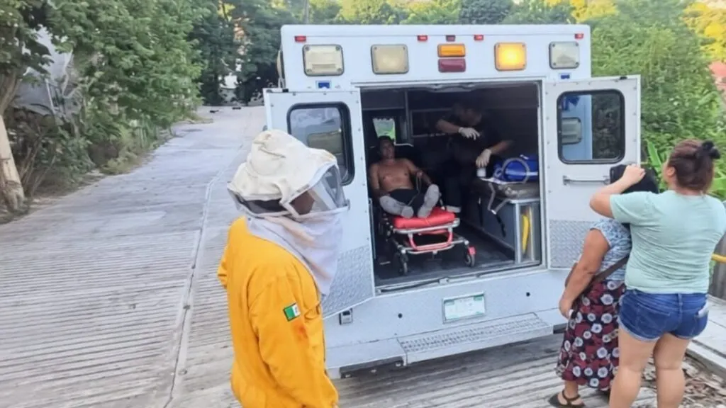 Ataque de abejas deja dos adultos mayores lesionados en Huejutla