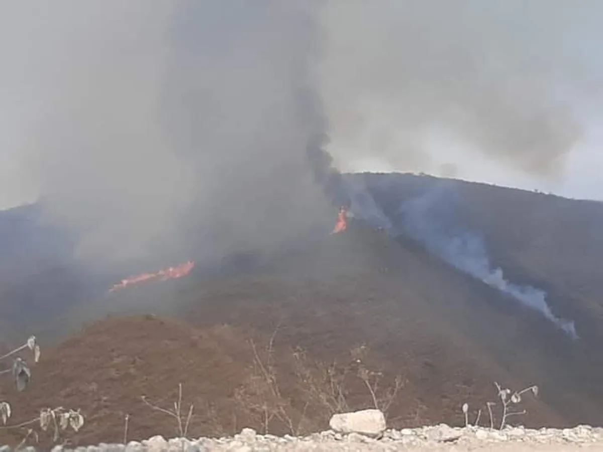 Sigue sin control  incendio forestal en El Cardonal; fuego llega a 3 municipios