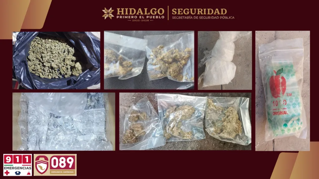 Aseguran droga, vehículos y dos personas en Hidalgo