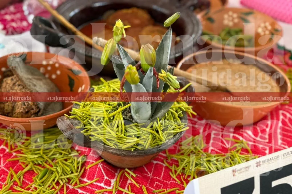 Más de mil recetas compiten en la 45 Muestra Gastronómica de Santiago de Anaya