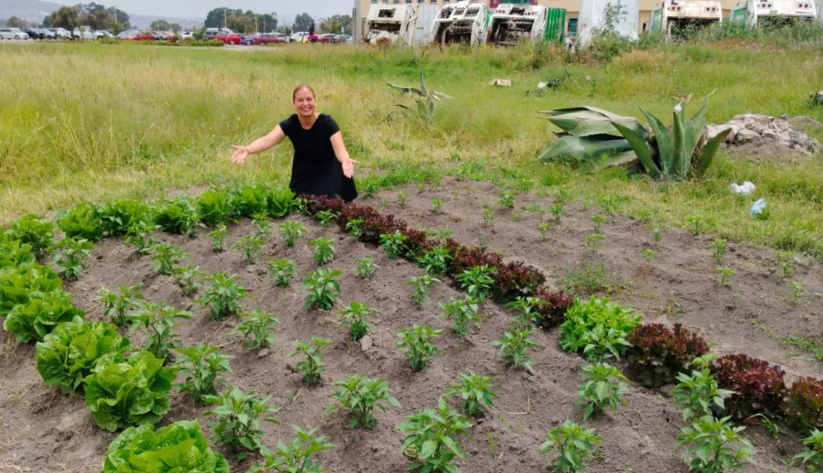 huerto orgánico en Tulancingo