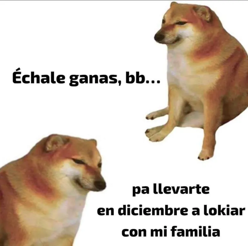 Cheems: Murió el perrito viral de los memes