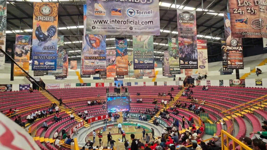 Mega Derby 2025: horarios, costos y todo lo que debes saber del evento