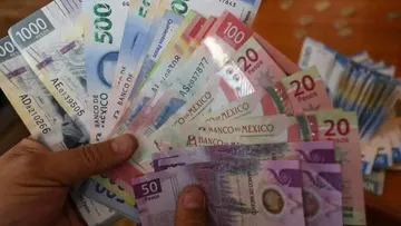 El Instituto Mexiquense de la Vivienda Social ofrece un nuevo apoyo de 40 mil pesos para vivienda digna en 2025.