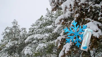 Desde 1 grado a caída de nieve: el Frente Frío 33 genera frío extremo, heladas y posibles nevadas en Edomex y CDMX este 5 y 6 de febrero.