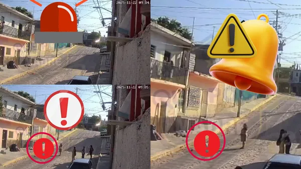 Video muestra cómo una mujer arroja a perrito desde balcón en Tuxtla; Rambo sobrevivió y autoridades ya investigan por maltrato animal.