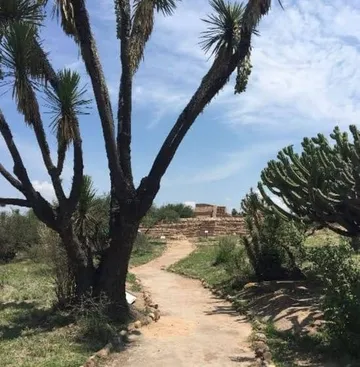 Declaran área natural protegida a “Bondojito” en Huichapan