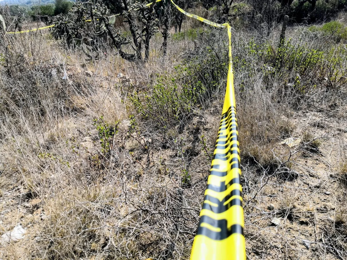 Encuentran cuerpo en estado de descomposición en Tula