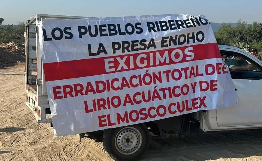 Crisis en presa Endhó: habitantes bloquean accesos por plaga