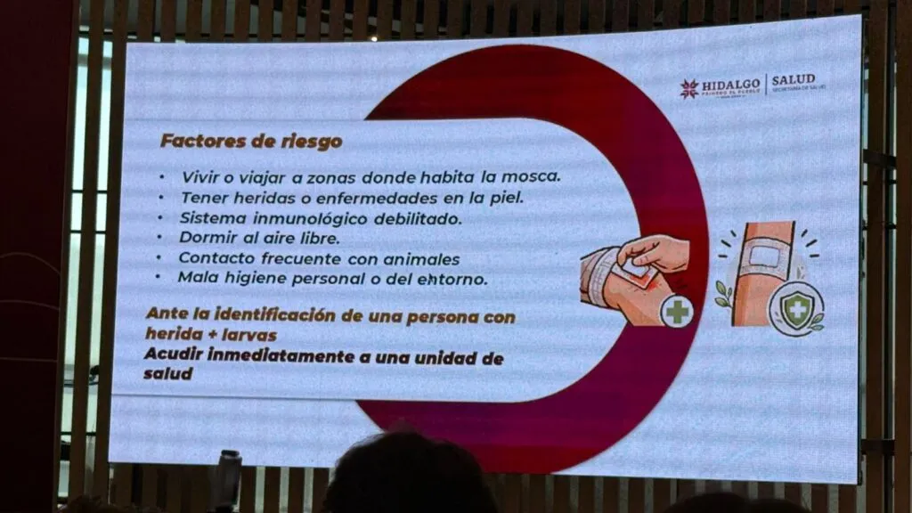 Confirman 7 casos de gusano barrenador en humanos en Hidalgo; lanza alerta sanitaria