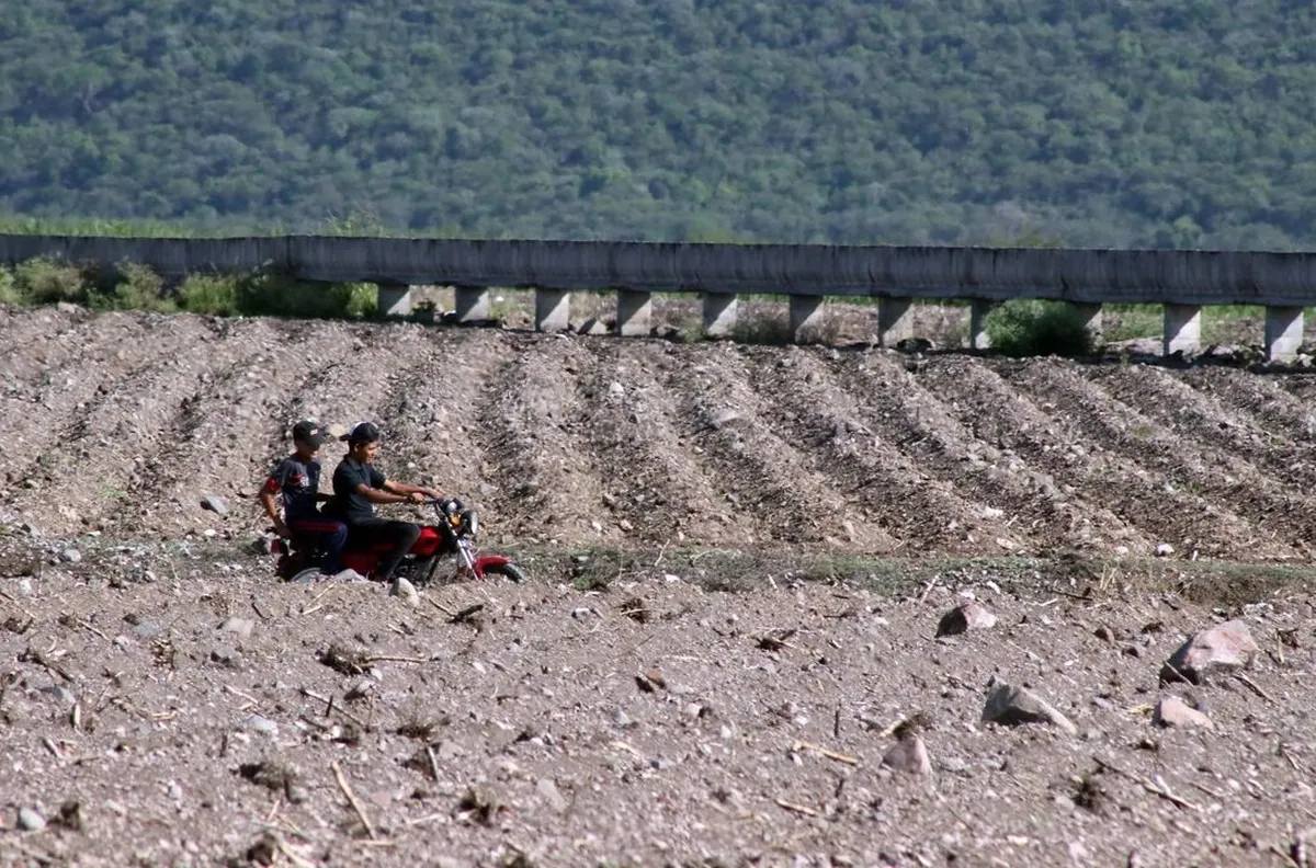 Agoniza el campo en Hidalgo: UNTA