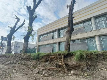 Tula mutila árboles y vecinos frenan la poda que ya afectó a cinco