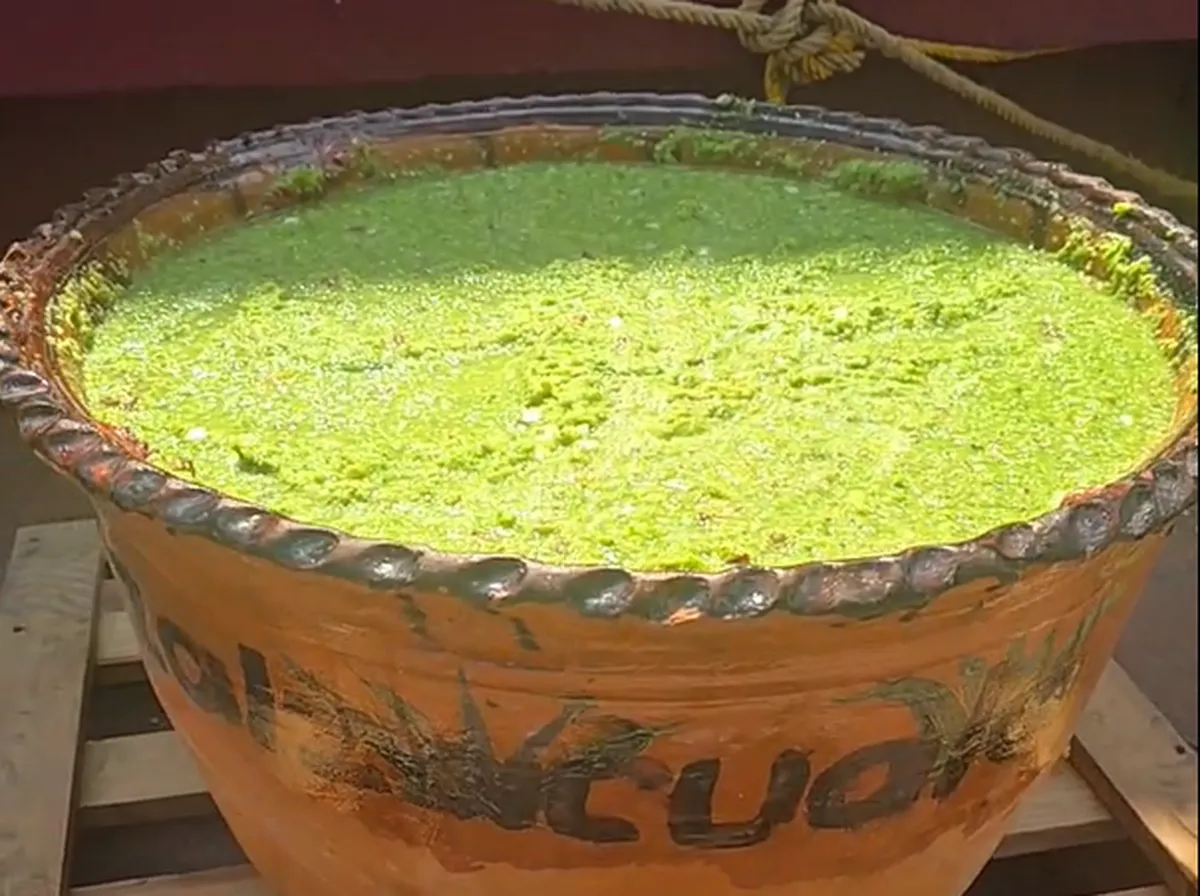 Santiago Tulantepec elabora la salsa molcajeteada de chinicuil más grande de Hidalgo: Zalzacuala 