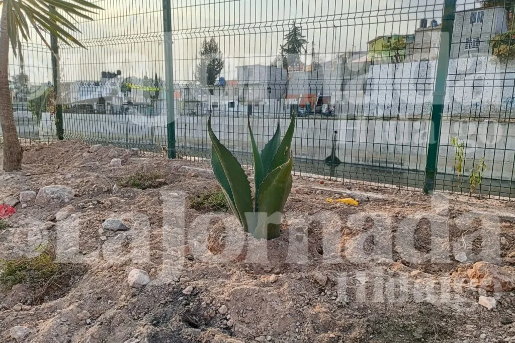 Revegetación del río Tula incluirá árboles, herbáceas y especies endémicas: ¿Cuándo empieza?