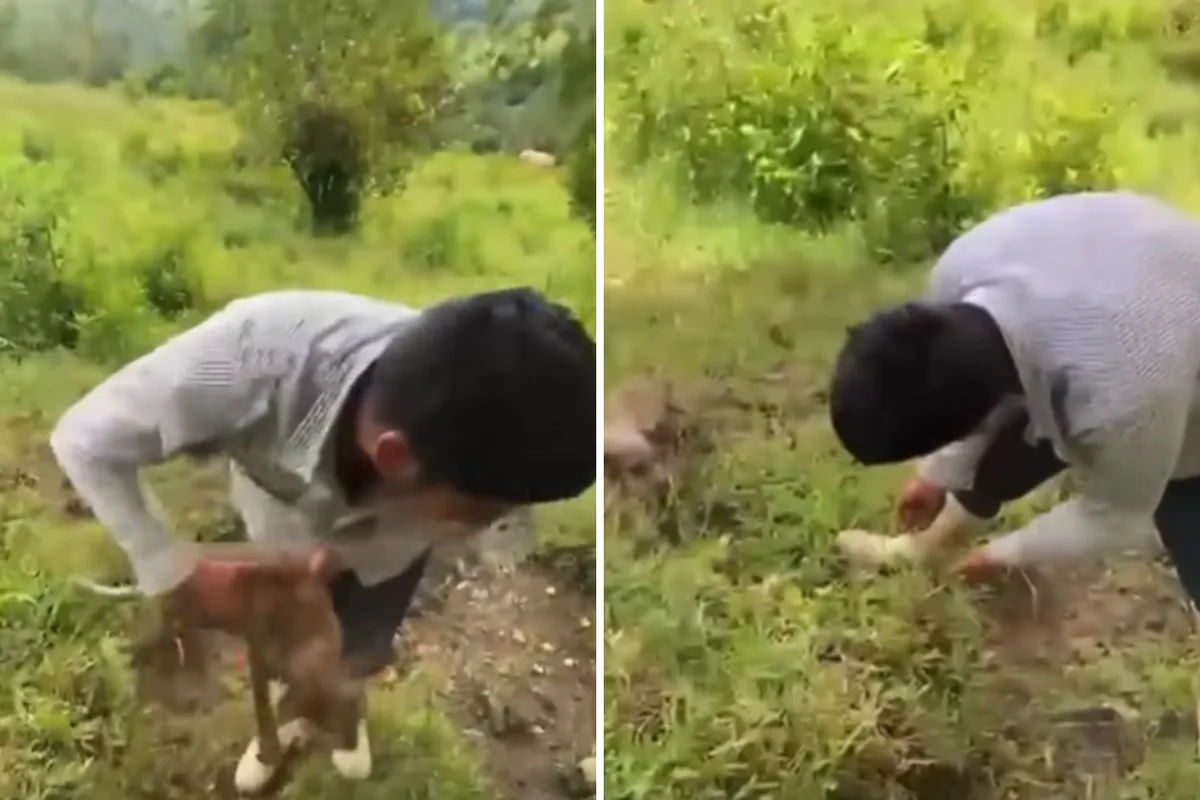 Indignación en Hidalgo: un video muestra cómo dos sujetos maltratan a perros en Tenango de Doria.
