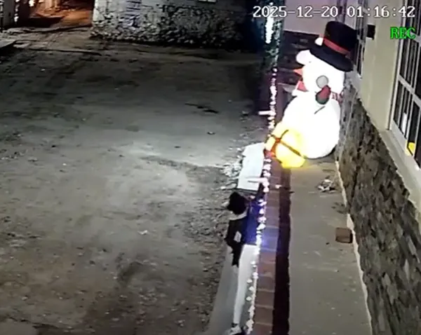 No solo es el robo: arrancar luces y decoraciones navideñas puede provocar riesgos eléctricos en viviendas de Tepeji del Río.