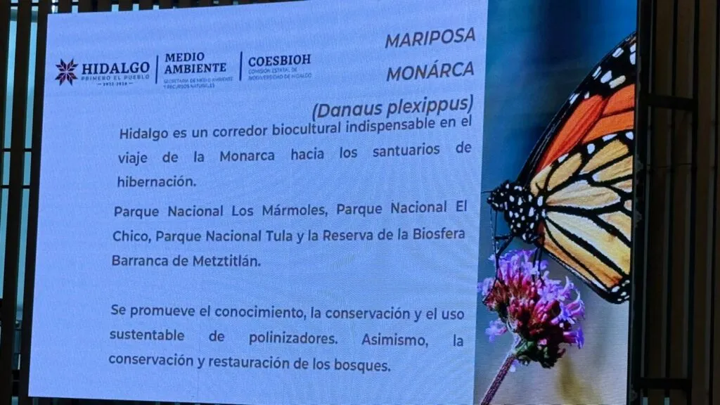Hidalgo fortalece conservación ambiental con inversión de 17.3 mdp
