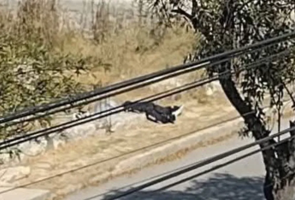 Atotonilco de Tula: fallece persona por arma de fuego; dejan su cuerpo en la calle