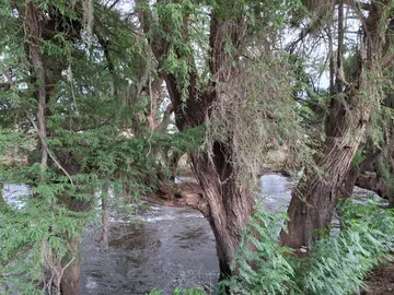 Confirman incremento en nivel del río Tula