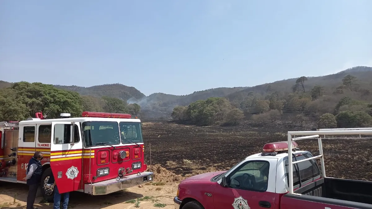 Controlan incendio forestal en San Alejo, Tulancingo