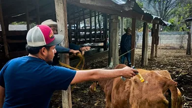 Jornada de vacunación