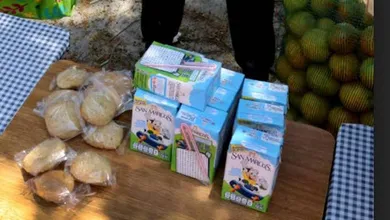 Desayunos Escolares DIF Hidalgo