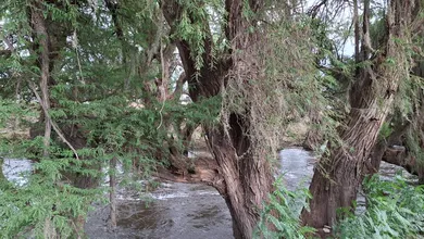 Confirman incremento en nivel del río Tula