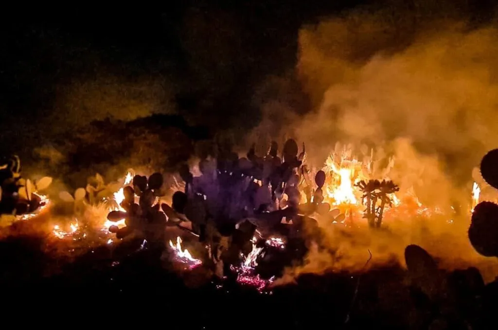 Bomberos de Tula de Allende sofocan incendio