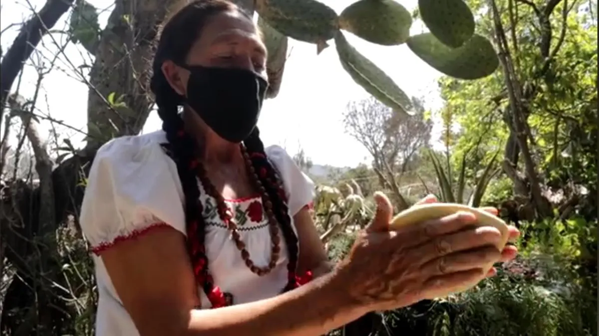 Hidalgo llegará a un evento donde se reunirán los sabores de todo México… y esto es lo que planea presentar