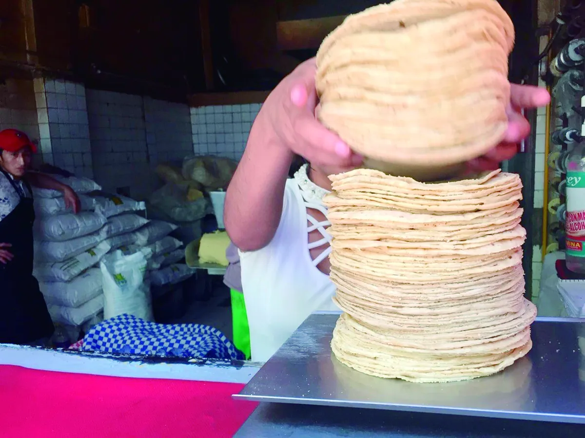 Precio del kilo de tortilla se mantiene en 23 pesos