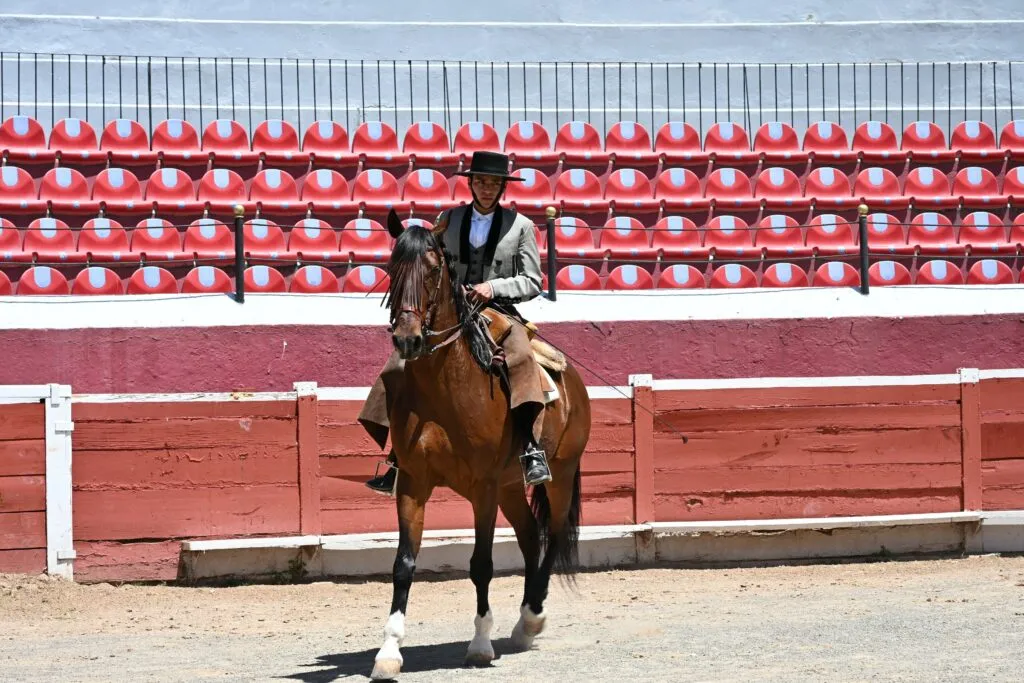 Anuncian corrida taurina benéfica en Pachuca en favor de los damnificados por la vaguada monzónica