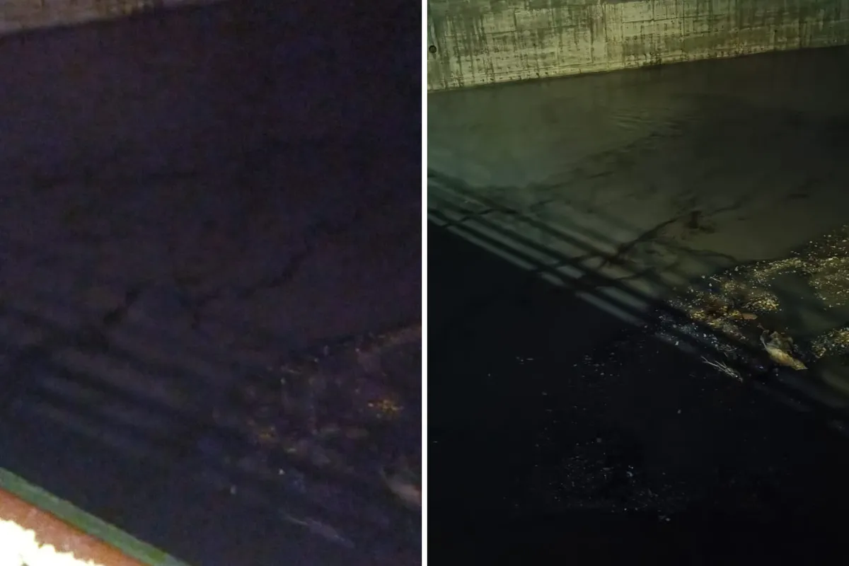 Videos y denuncias ciudadanas alertaron sobre cambios en el agua del río Tula. Autoridades ambientales ya revisan el caso.