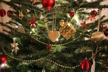 Árbol de Navidad: en estos lugares de Pachuca lo puedes reciclar