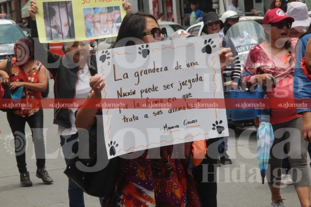 Activistas marchan en Pachuca por derechos de animales y seguridad